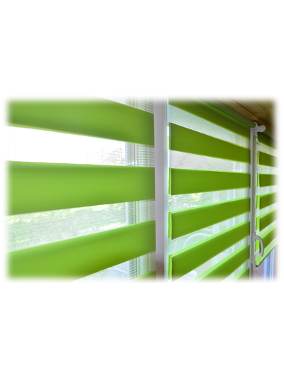 Рулонные шторы ЗЕБРА