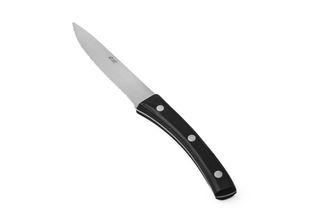 Нож для стейка 120/229 мм. ручка пластик, лезвие зубчатое Ангус Abert /1/ ТП
