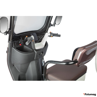 Электротрицикл Rutrike Gelbert Sarin 48V/60V 1000Вт коричнево-белый