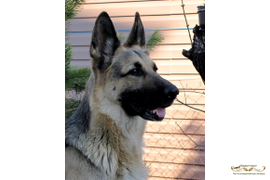 Барталина Каскад-ЦЕЗА,Виттера-Витка