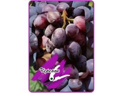 Кишмиш Юпитер (укорененный черенок)