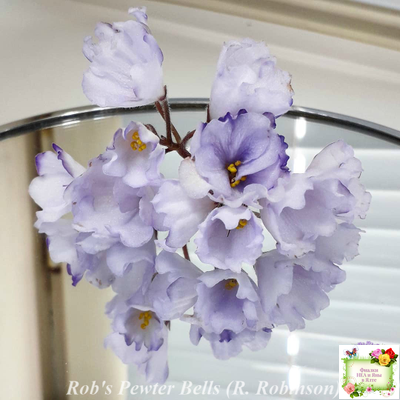 Rob's Pewter Bells (R. Robinson) 07/06/1992