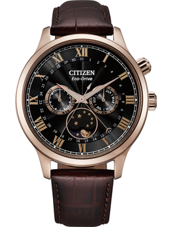 Наручные часы Citizen AP1059-19E
