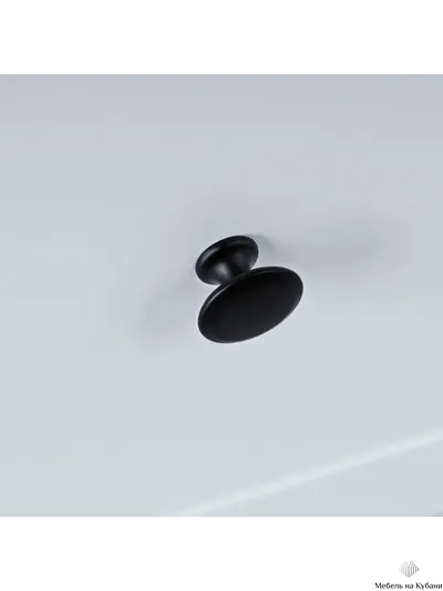 2.08.03.010.14 САГА тумба белая/ясень