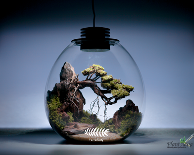 Биобутылка Biolark LED PD 170 (175мм х 195мм)