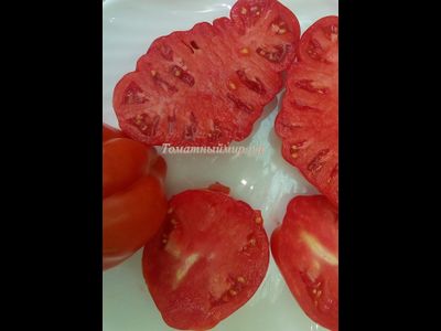 Томат Красная груша гигант Гран-Сассо  (Red Pear Giant Gransasso), Италия