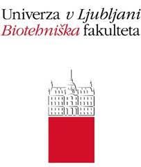 univerza