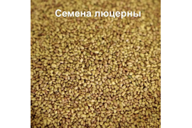 Услуги хранения семян и закупка многолетних трав