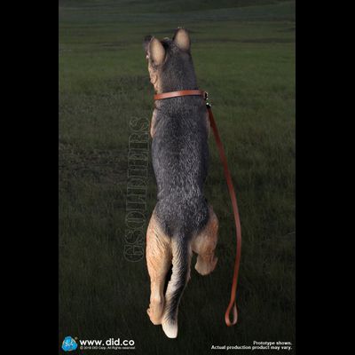 Немецкая овчарка (Служебная собака) - Коллекционная ФИГУРКА 1/6 scale German Shepherd (AS003) - DID
