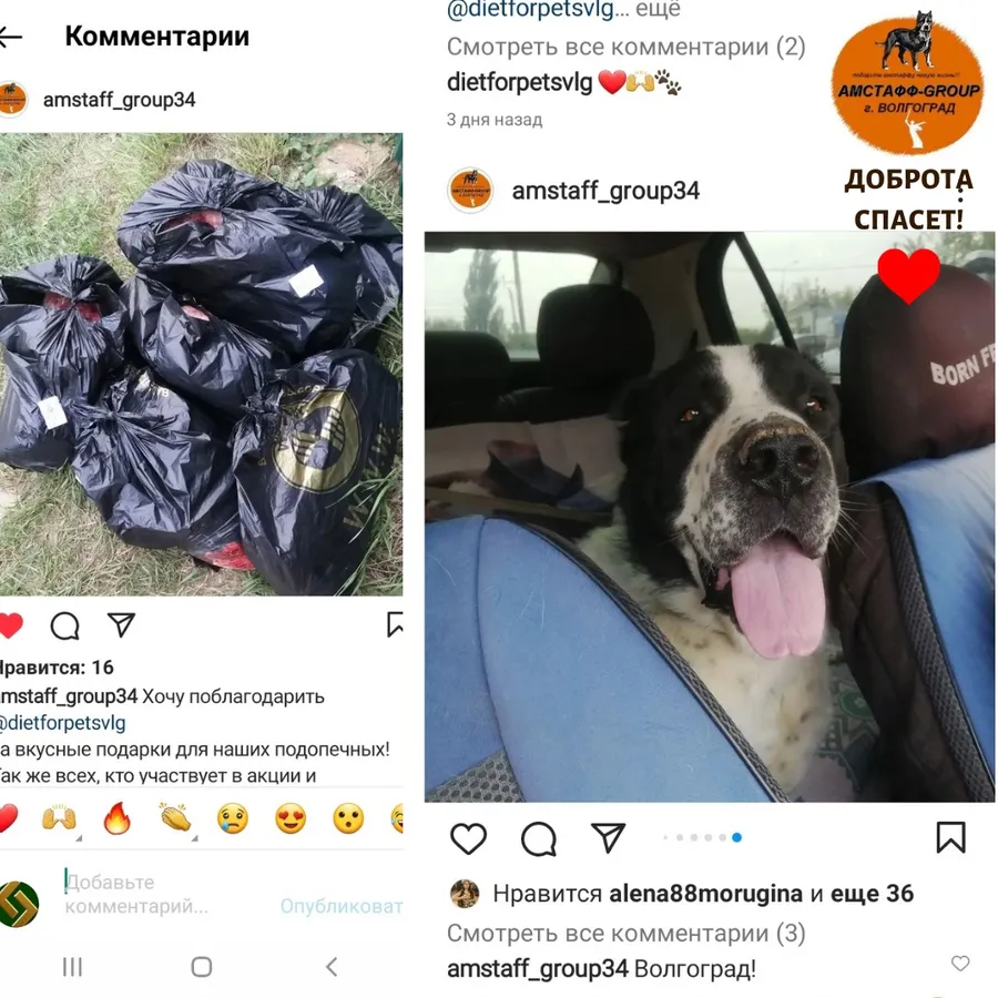 19.08.22 мы передали от нас с вами вкусные гостинцы подопечным приюта Амстафф-GROUP. С 08.06.21 по 10.08.22 сумма по благотворительным купонам составила 5575 руб. Благодарим всех, кто принимает участие в акции!