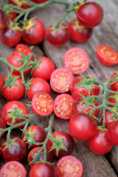 Томат Маленький Красный Корвет (Little Red Corvete), 10 шт