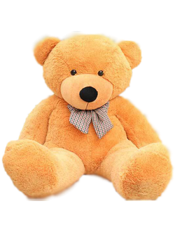 Мишка Павлуша