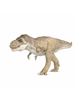 динозавры Динозавр Trex By Joel