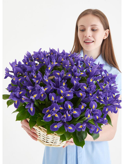 51 ирис в корзине