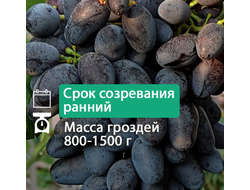 Академик