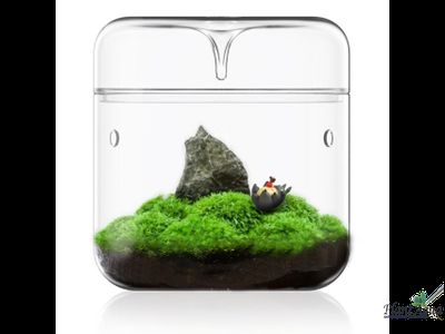 Чаша Лудзи Biolark MY-180 (180мм х 200мм)