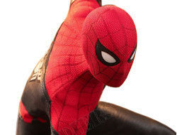 Человек-паук: Вдали от дома (Питер Паркер, Том Холланд) - Коллекционная ФИГУРКА 1/6 scale SPIDER-MAN: FAR FROM HOME (Peter Parker, Tom Holland) (MMS542) - Hot Toys