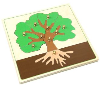 Части дерева (дер.пазлы с контуром)