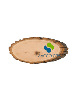 Дерево заготовка срез лиственных пород 26 см