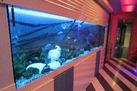 Обслуживание аквариумов с пресной водой
