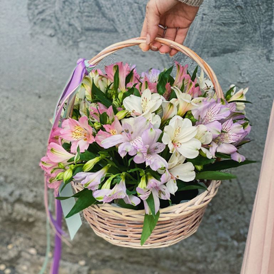 Корзина из альстромерии