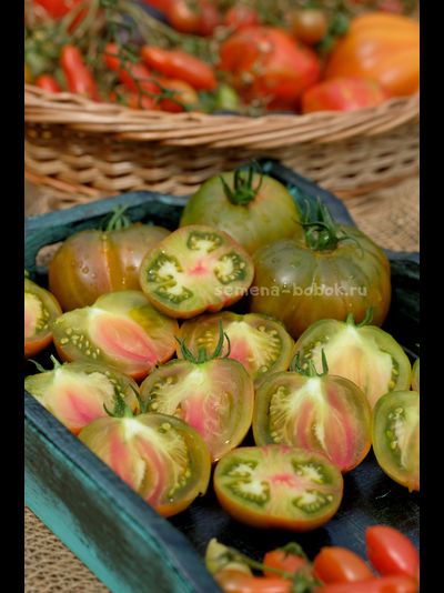 Томат Ярсон 5 Триколор (Jarson 5), 10 шт