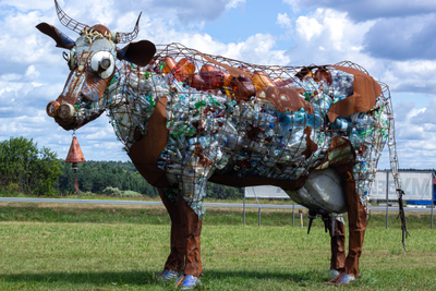 Экскурсия "Прогулка в парке птиц"