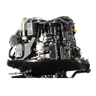 Мотор лодочный GOLFSTREAM F115FEL-T EFI L