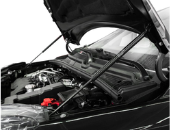 Амортизаторы капота