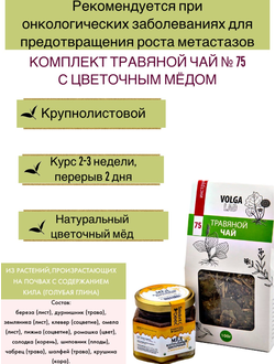 Травяной чай Волгаладь № 75 с медом цветочным, лечебный комплект, 70/140 г