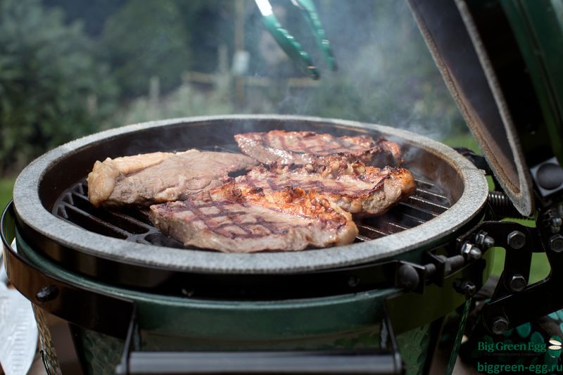 Big green egg mx online