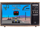 Nigel Mansell&#039;s World Championship, Игра для Сега (Sega Game) GEN