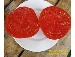 Томат Полный мякоти (Pleine de Chair, США)