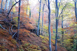 пеший тур по горному Крыму