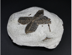 Ставролит, сросток кристаллов "косой крест" на сланце, Россия, Кольский п-ов (90*64*31 мм, 256 г) №23687