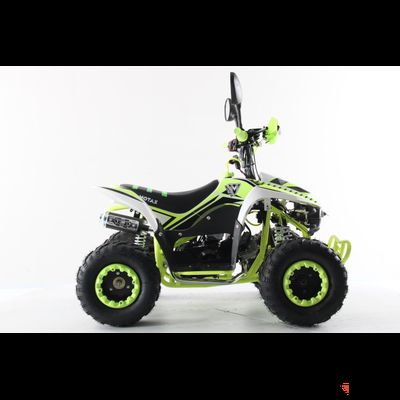 Подростковый квадроцикл Motax Mikro 110 NEW