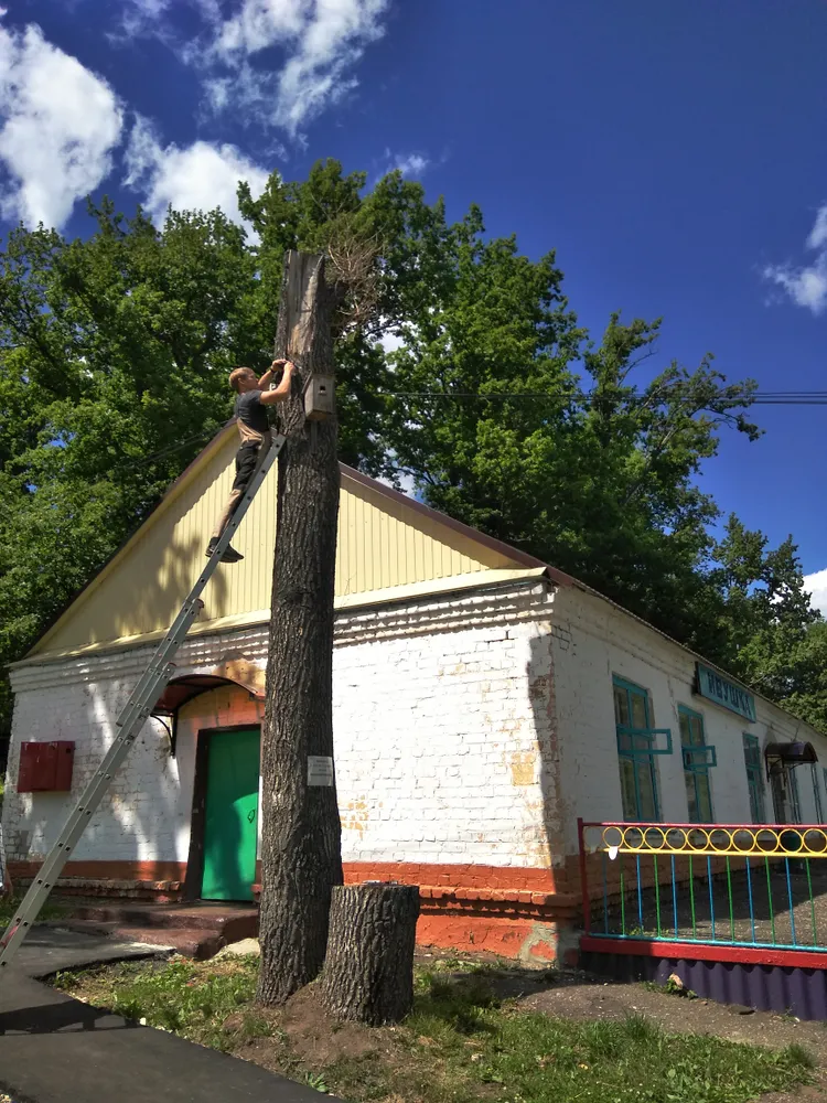 Произвели техническое обслуживание 16 камер и 1 регистратора. 