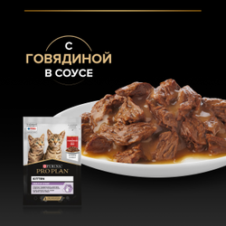 Pro Plan (ПроПлан) Kitten влажный корм для котят, Говядина в соусе, 85 г