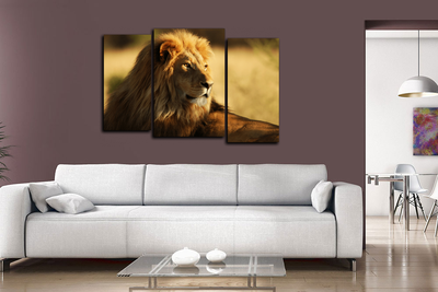 Модульная картина "Взгляд короля Саванны"