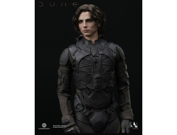 Пол Атрейдес (Тимоти Шаламе, "Дюна", Dune) делюкс версия - Коллекционная фигурка 1/6 Dune Paul Atreides Deluxe Edition - INART