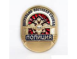 Нагрудный знак «ППС»