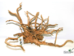 Коряга ПУСТЫННАЯ XL (30-45 см)