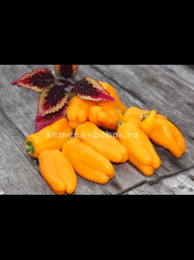 Перец сладкий Кенди Кейн желтый вариегатный (Candy Cane Yellow Variegat), 10 шт.