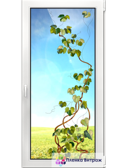 Витражная пленка, витражная пленка самоклеющаяся под заказ,пленочный витраж флора с листьями