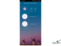 Умная розетка NSH-ST-02 - две управляемые розетки + 2 USB