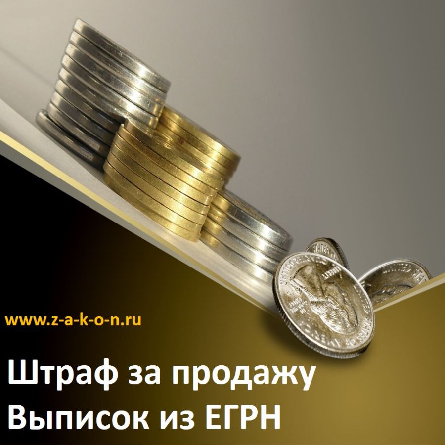 Штраф за продажу Выписок из ЕГРН