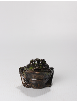 Денежная  трехлапая  жаба