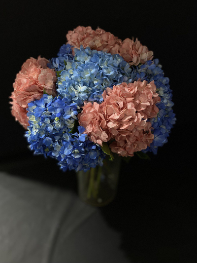 Гортензия 9 шт