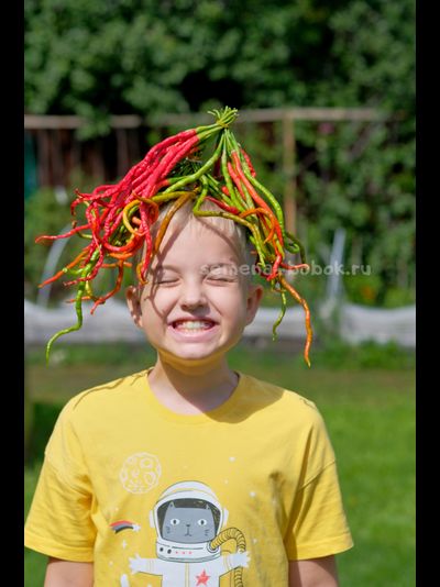 Перец острый Thunder Mountain Longhorn (Тандер Мунтан Лонгхорн), 10 шт