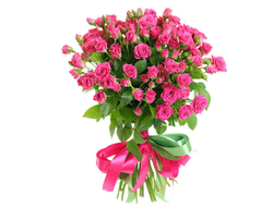 кустовые розы 15 шт
